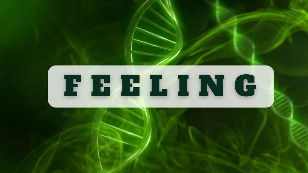 STIFIn Feeling STIFIn Jakarta 081574675109  1024x577 - Home