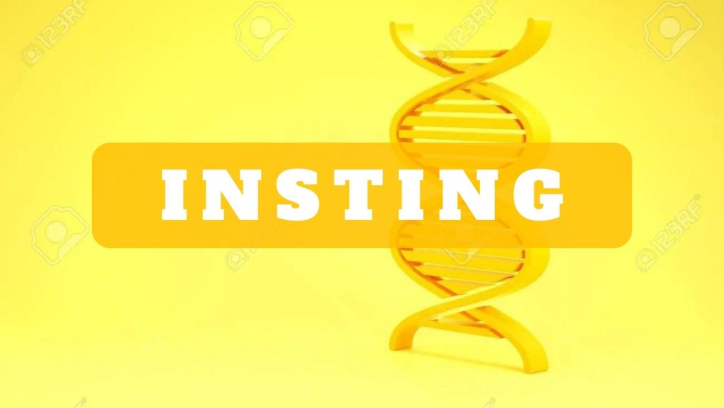 STIFIn Insting STIFIn Jakarta 081574675109  1024x577 - Home