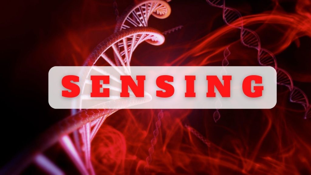 STIFIn SENSING STIFIn Jakarta 081574675109 1 1 1024x577 - Home