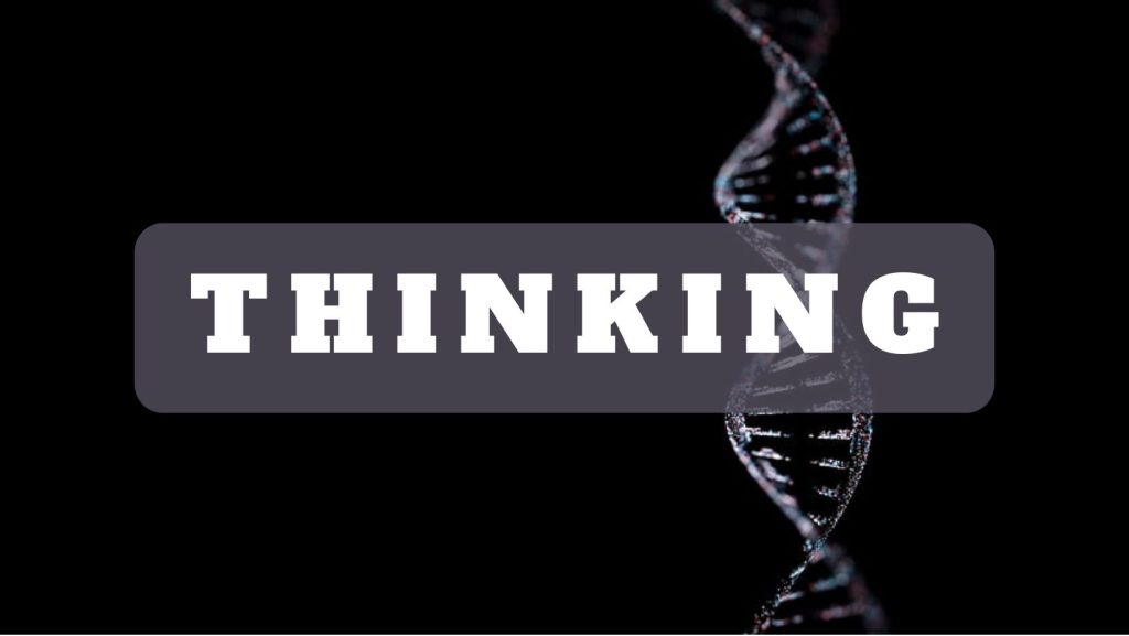 STIFIn Thinking STIFIn Jakarta 081574675109  1024x577 - Home